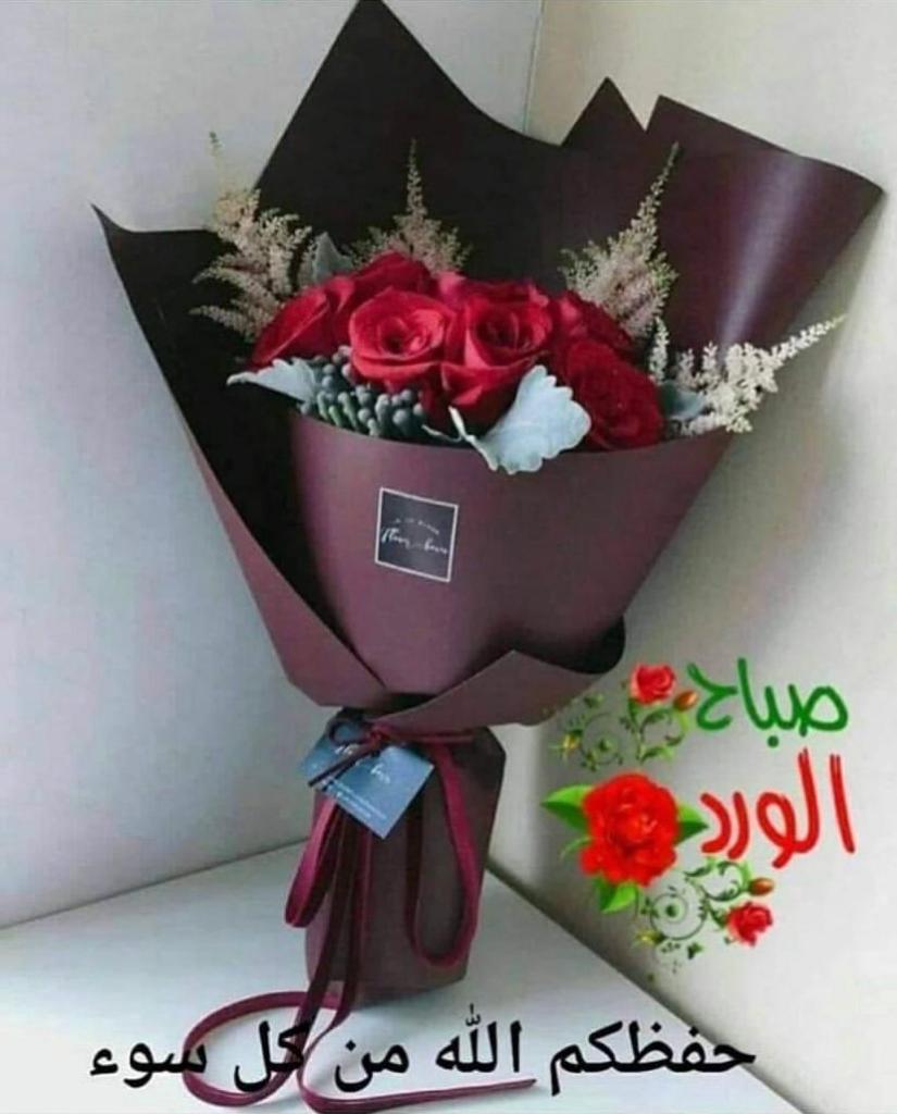 Barka Mobile_amCNL