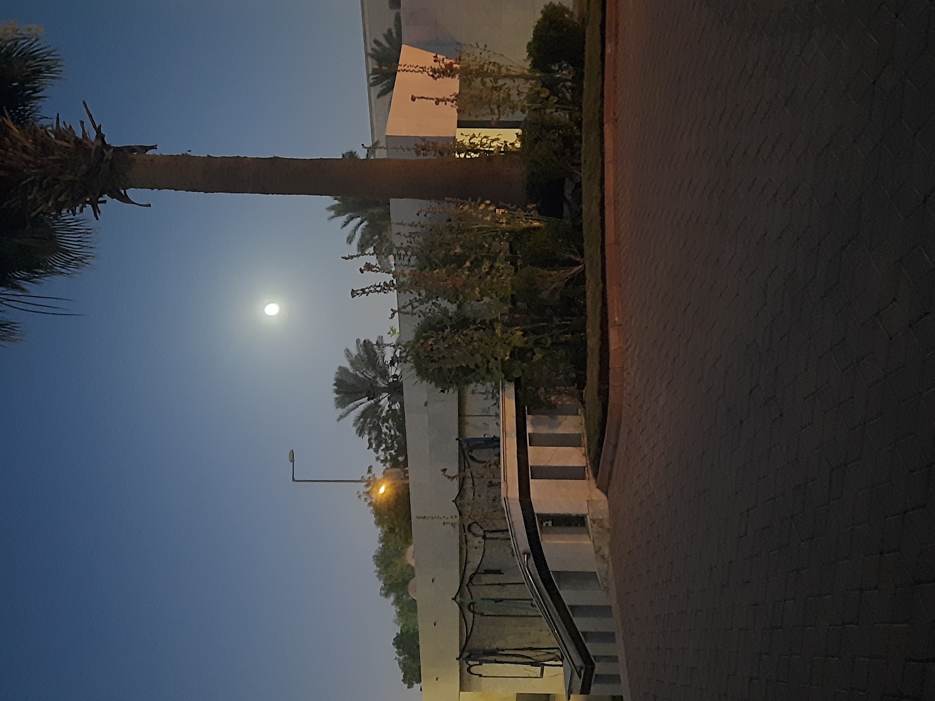 ELTIB
