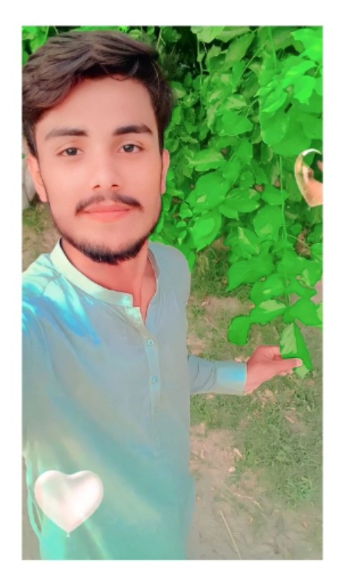 Abdul Qadoos_1TUEA