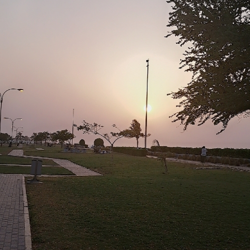 Rasha Eldiwany_fXgmC