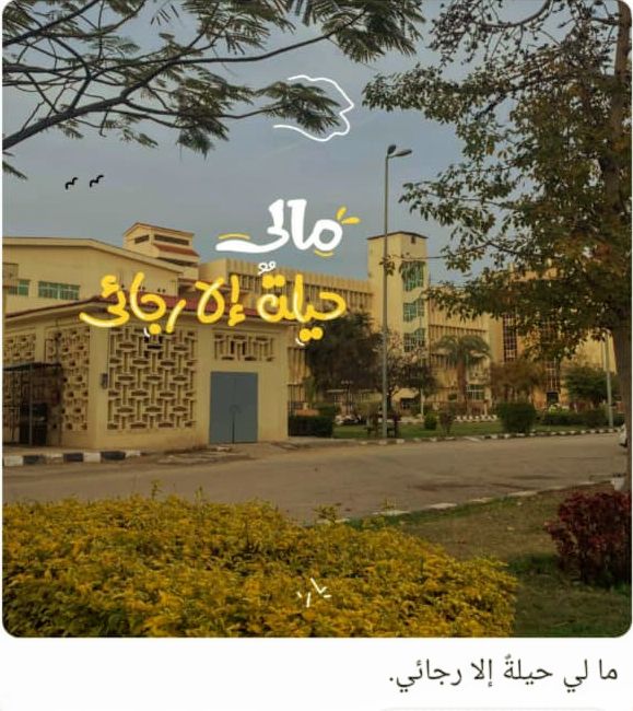 Ibra Oman_Lg0IC